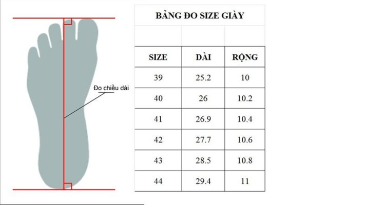 đo size giày nam