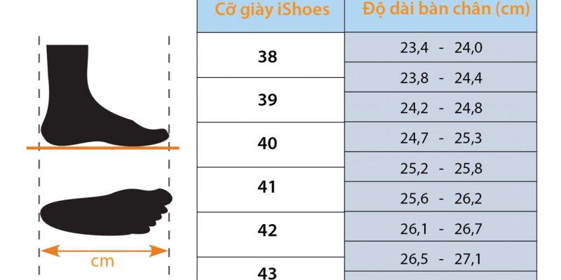 đo size giày