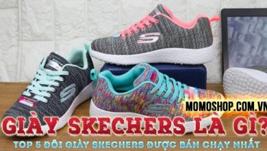 “Tìm hiểu” Giày Skechers là gì? Top 5 đôi giày Skechers được bán chạy nhất thế giới