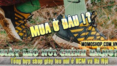 “Chọn đúng” Giày Leo Núi chính hãng như thế nào? Tổng hợp shop giày leo núi Adidas, Nike, Bitis ở HCM và Hà Nội