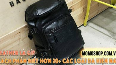 “TÌM XEM” Leather Là Gì? Cách phân biệt hơn 20+ các loại da hiện nay