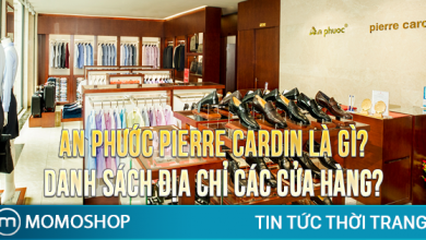 1️⃣【”THƯƠNG HIỆU” An Phước Pierre Cardin Là Gì? Danh sách địa chỉ các cửa hàng? 】® Momoshop