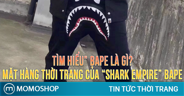TÌM HIỂU” Bape Là Gì? Những mặt hàng thời trang yêu thích của “Shark Empire” Bape
