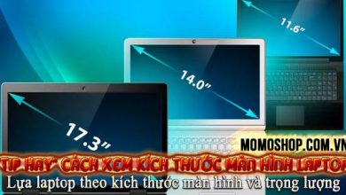 “Tip hay” Cách xem Kích Thước Màn Hình Laptop ai cũng cần phải biết + Lựa laptop theo kích thước màn hình và trọng lượng