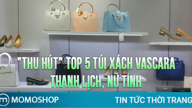 “THU HÚT” TOP 5 Túi Xách Vascara thanh lịch, nữ tính