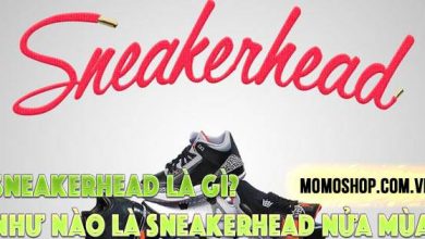 “CHÍNH HIỆU” Sneakerhead Là Gì? Nhận biết như nào là sneakerhead nửa mùa