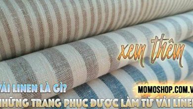 “XEM THÊM” Vải Linen Là Gì? Những sản phẩm, trang phục được làm từ Vải Linen