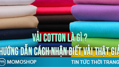 “BẠN CÓ BIẾT” Vải Cotton Là Gì ? Hướng dẫn cách nhận biết vải cotton thật giả