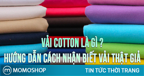 “BẠN CÓ BIẾT” Vải Cotton Là Gì ? Hướng dẫn cách nhận biết vải cotton thật giả