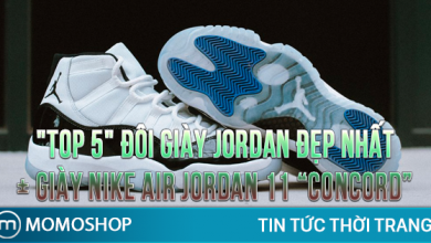 “TOP 5” Đôi Giày Jordan đẹp nhất + Giày Nike Air Jordan 11 “Concord”